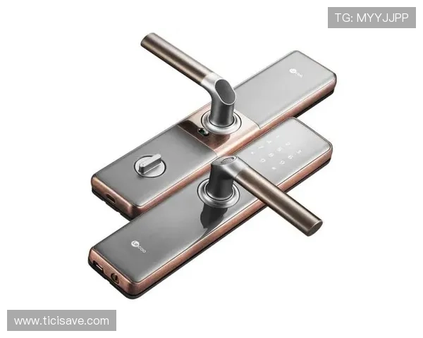 欧博官网代理市场前景分析未来发展趋势与投资潜力探讨